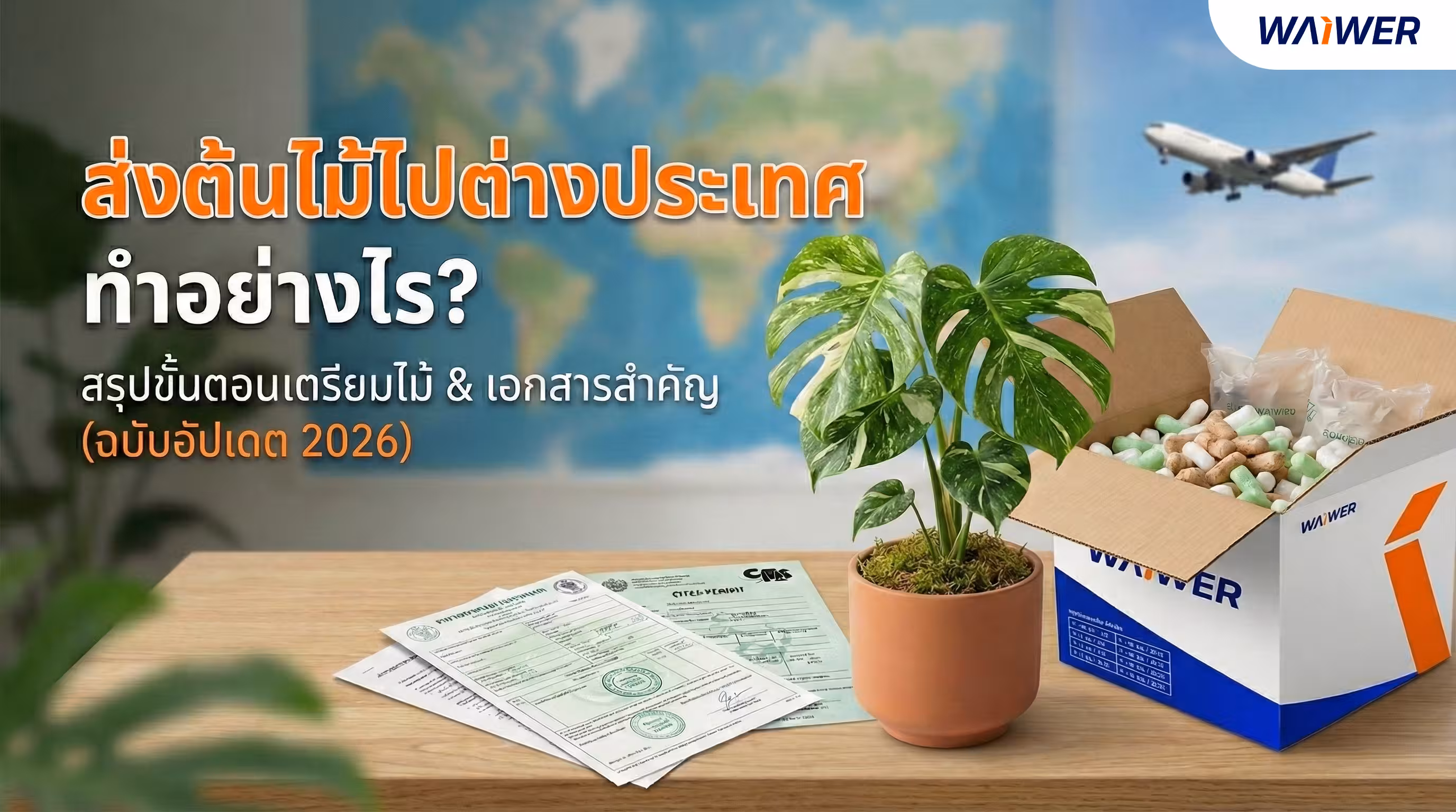 ส่งต้นไม้ไปต่างประเทศ ทำอย่างไร? สรุปขั้นตอนและเอกสารที่ต้องใช้ (ฉบับอัปเดต 2026)